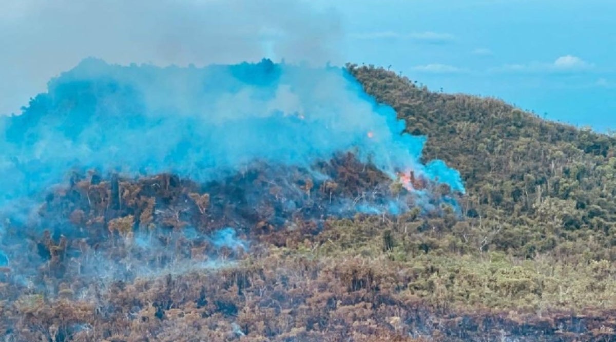 Incendio forestal en Providencia se reactivó debido a las altas temperaturas
