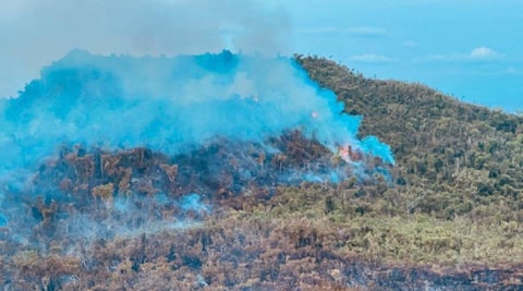 Incendio forestal en Providencia se reactivó debido a las altas temperaturas