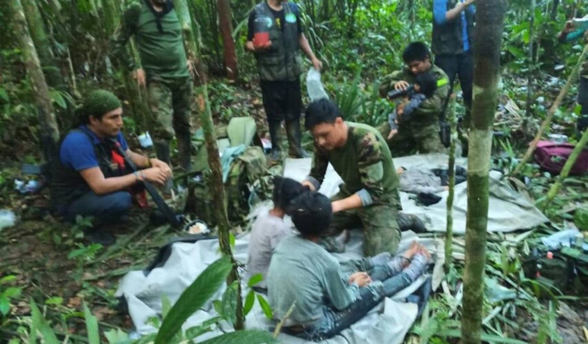 Niños encontrados en la selva