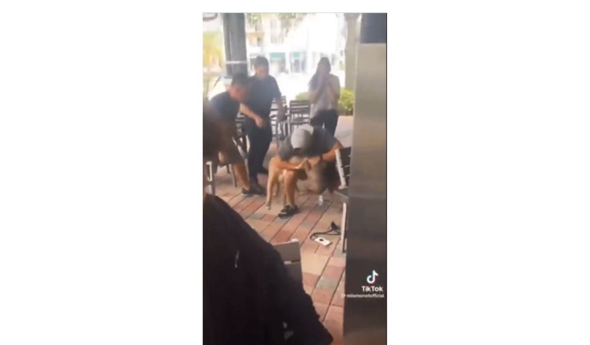 Perro pitbull sin bozal atacó a un cachorro VIDEO