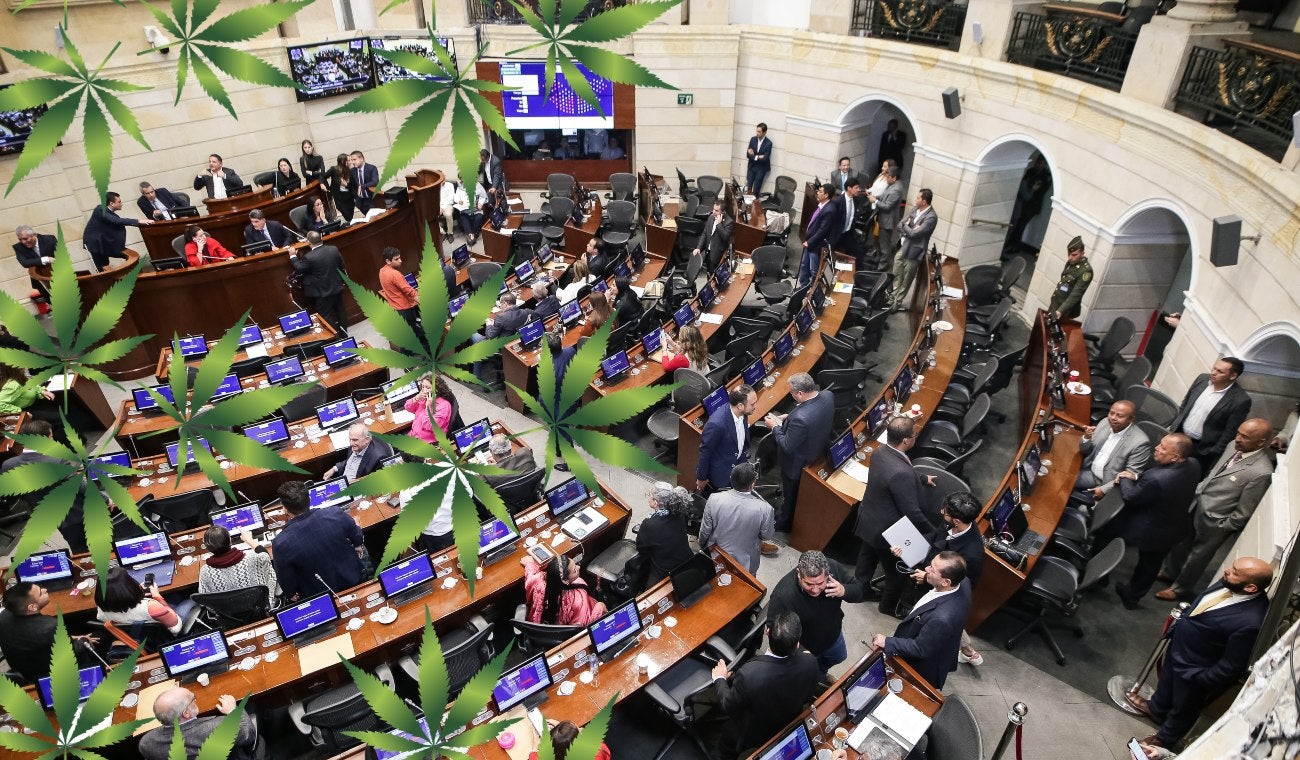 Senado debate uso recreativo de la marihuana