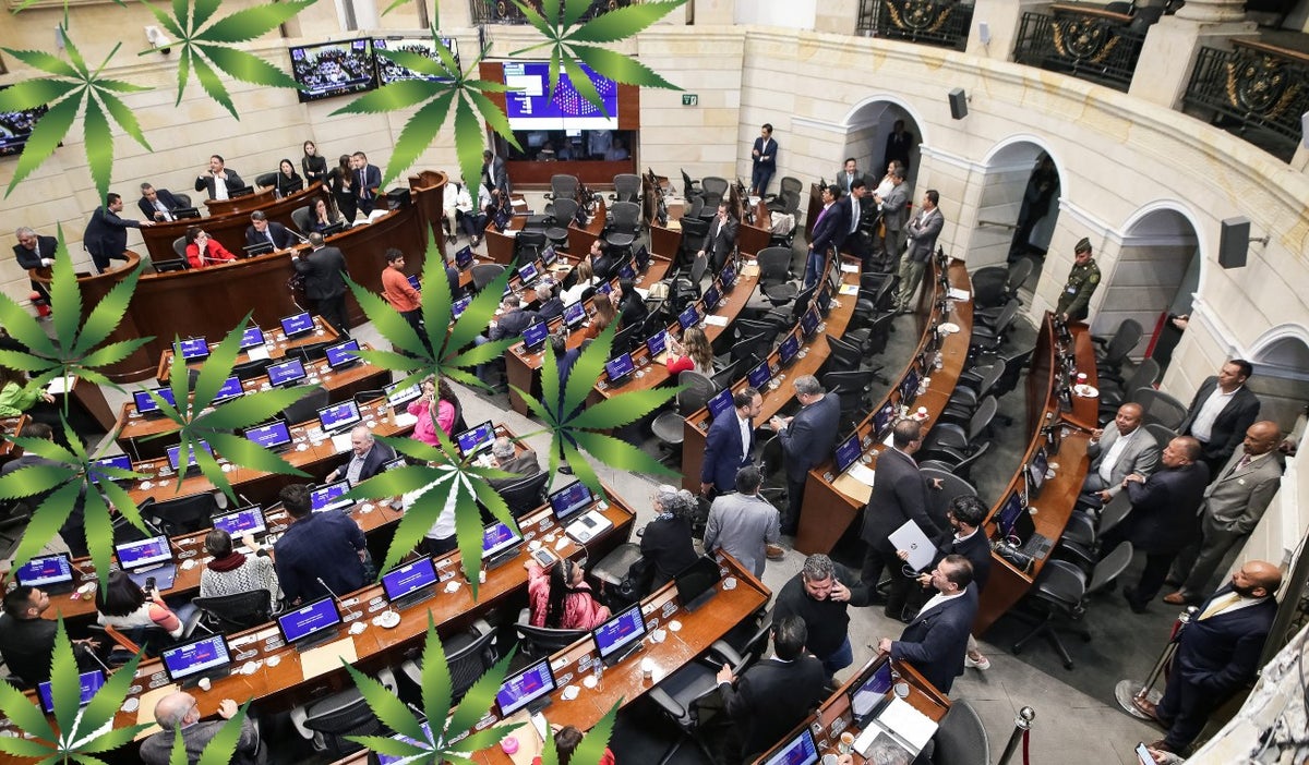 Senado debate uso recreativo de la marihuana