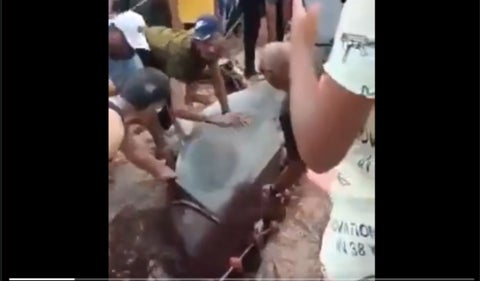 Tiburón capturado por bañistas tenía restos de turista que había devorado