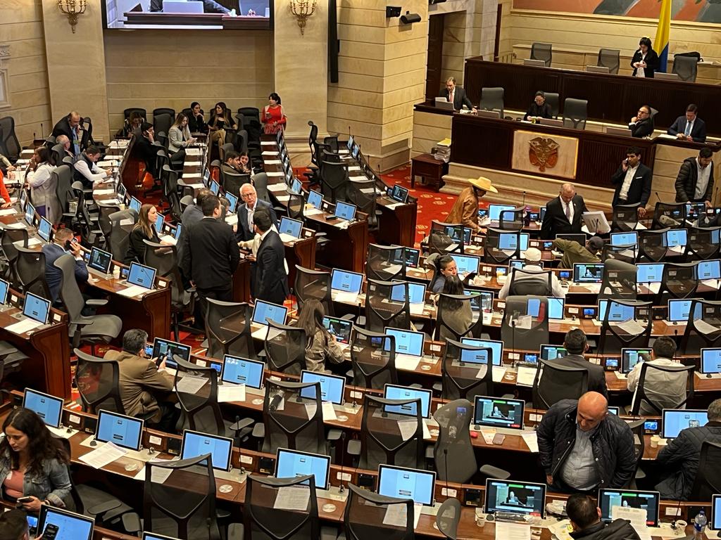 Plenaria de la reforma a la salud.