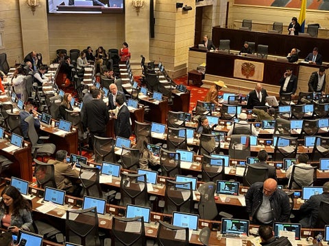 Plenaria de la reforma a la salud.