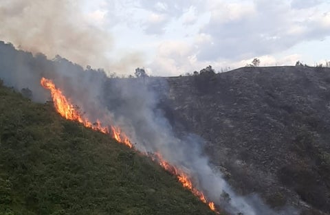 Se registran cuatro incendios forestales en Cundinamarca