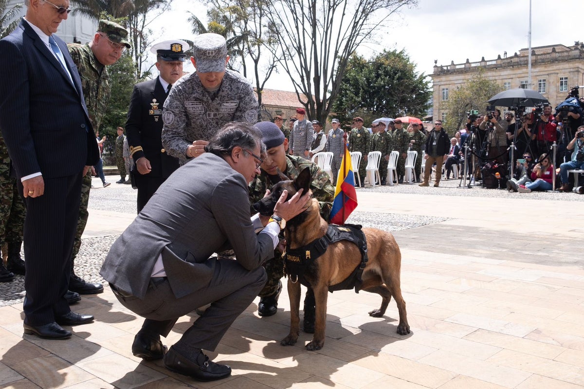 Presidente Gustavo Petro y Drugia