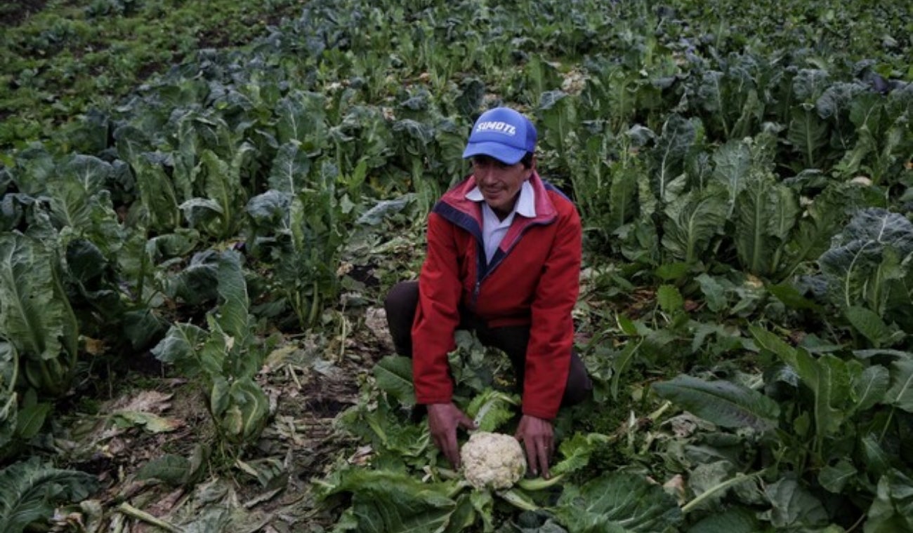 Exportaciones de agroindustria colombiana