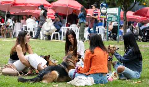 Alimentarte Food Festival