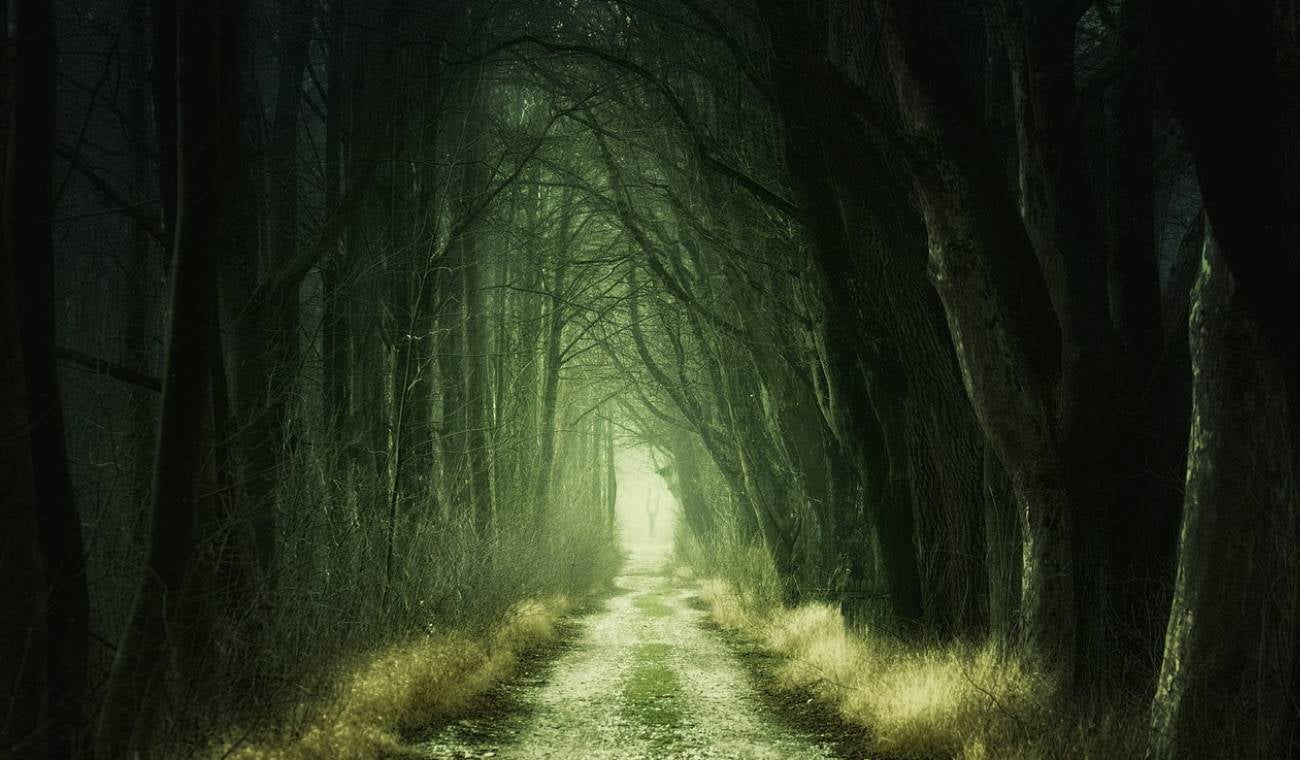 Bosque