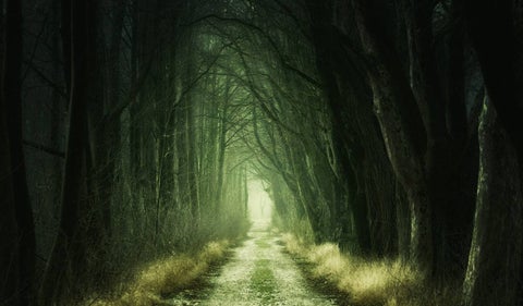 Bosque