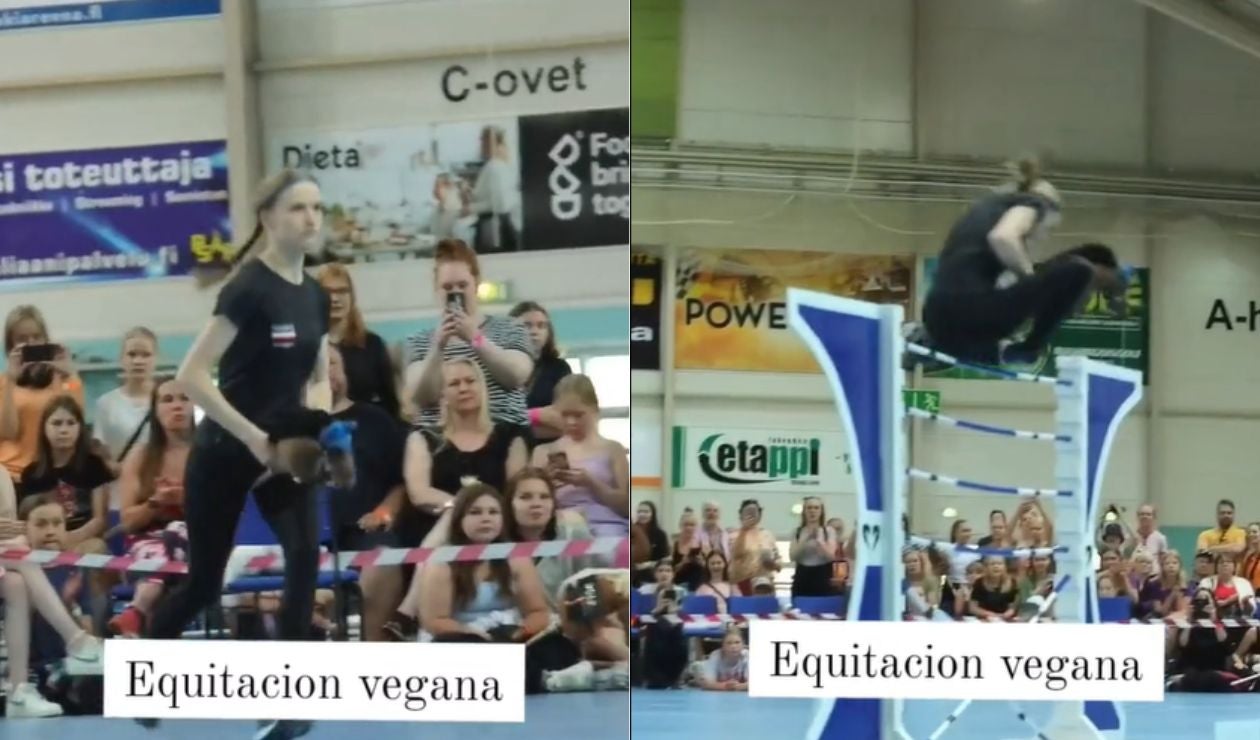 Equitación vegana