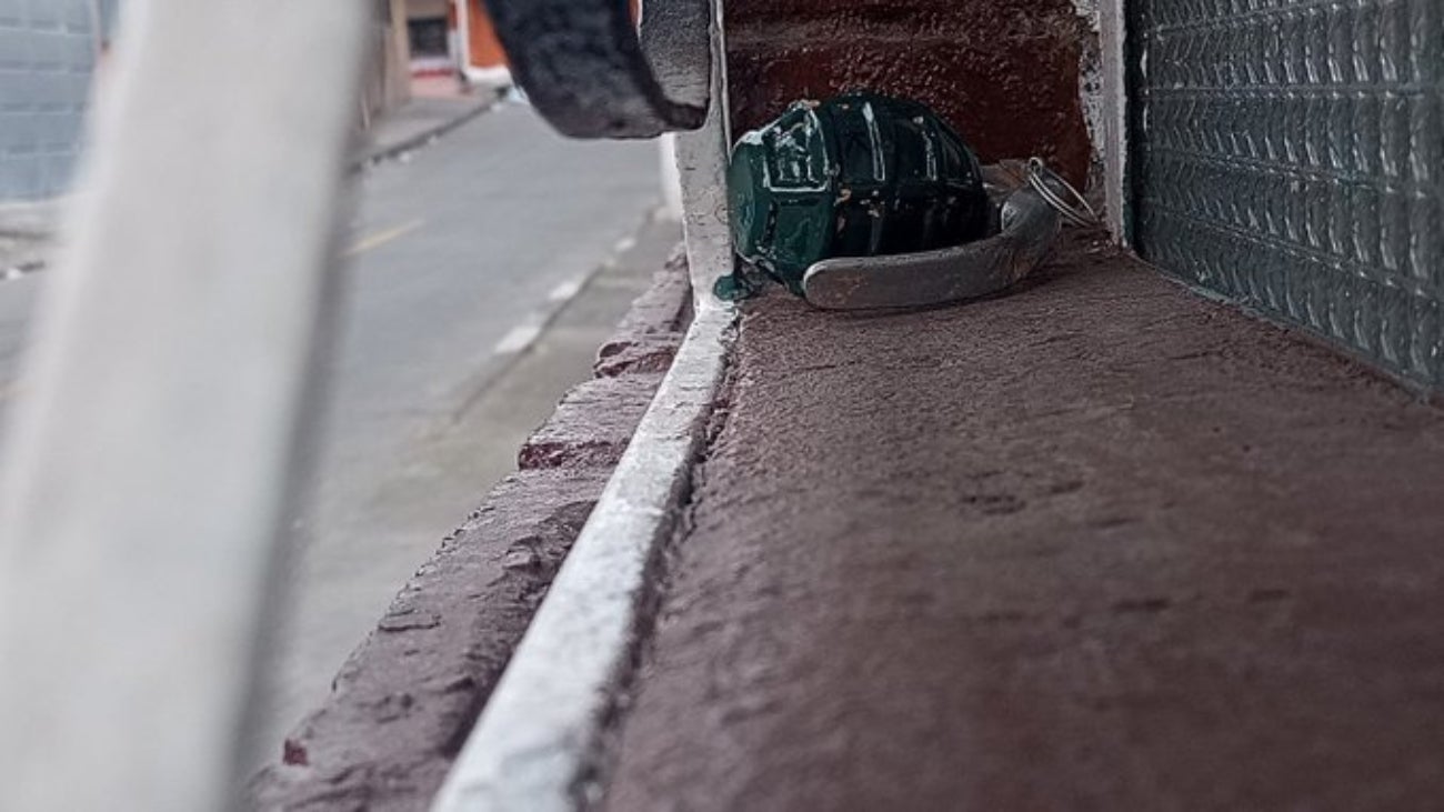 Nueva granada en Bogotá: familia encontró una en la ventana de su casa