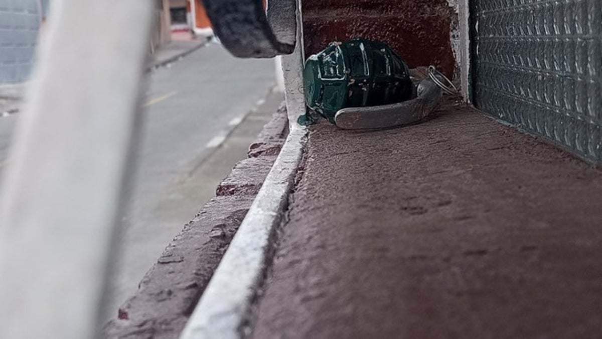 Nueva granada en Bogotá: familia encontró una en la ventana de su casa