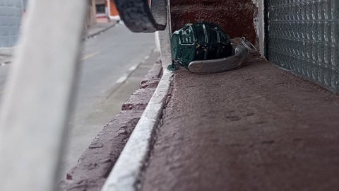 Nueva granada en Bogotá: familia encontró una en la ventana de su casa