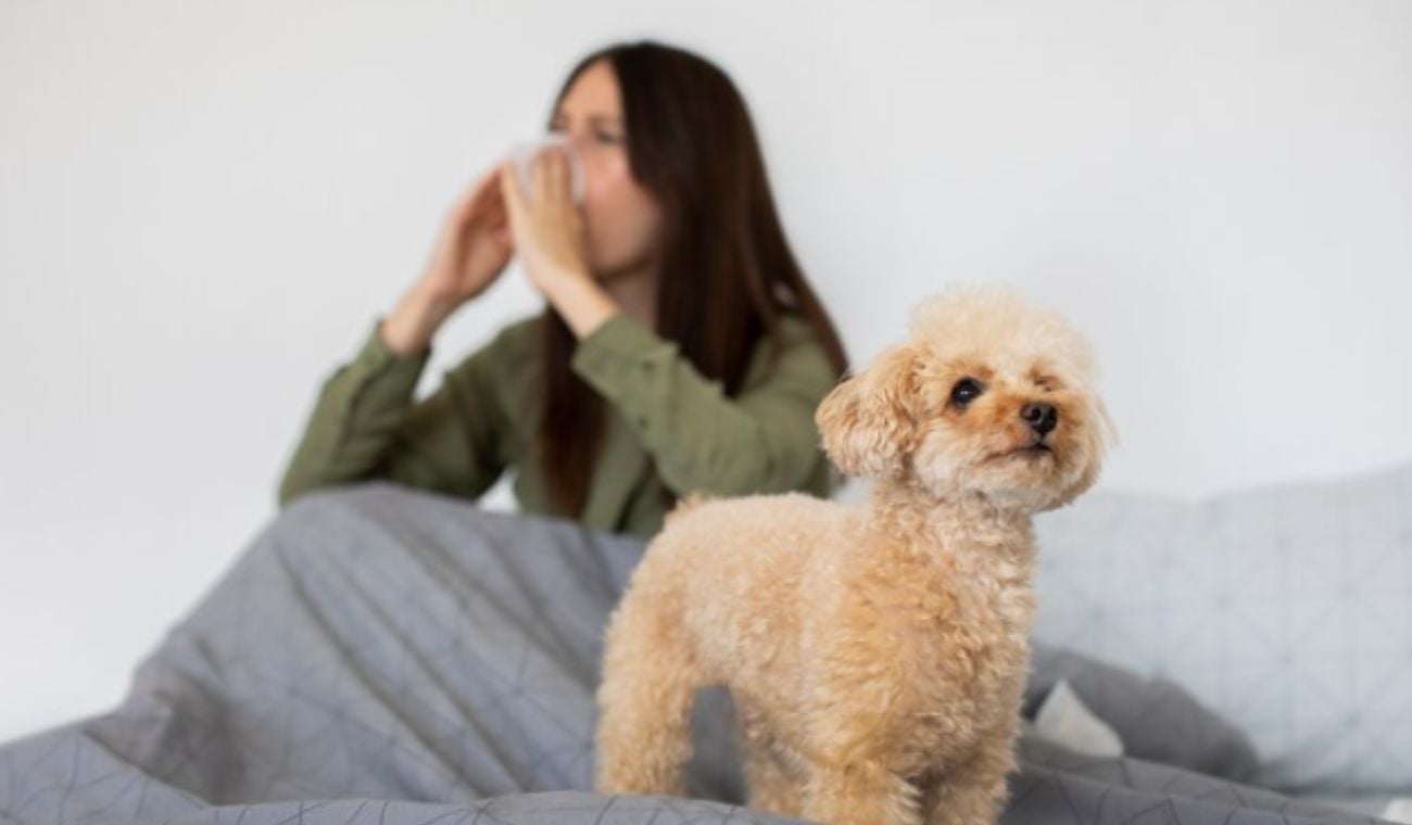 Perro en la cama y su dueño se tapa la nariz