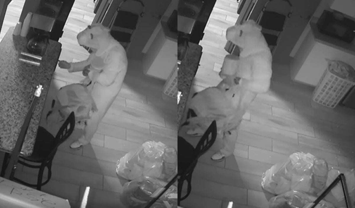 Sujeto disfrazado de conejo