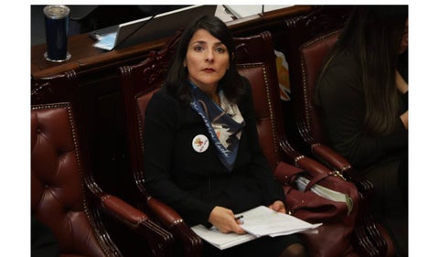 Irene Vélez: posible reemplazo Ministra de Minas y Energía