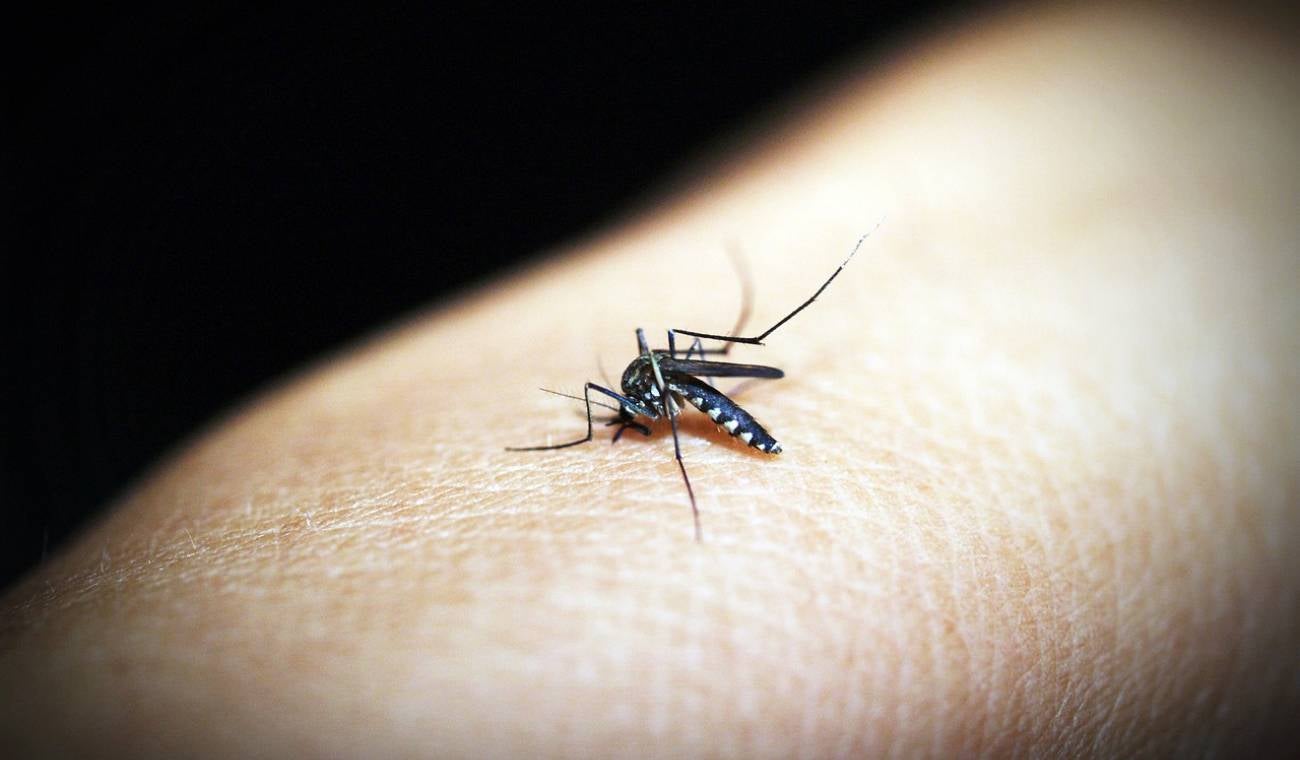 Malaria