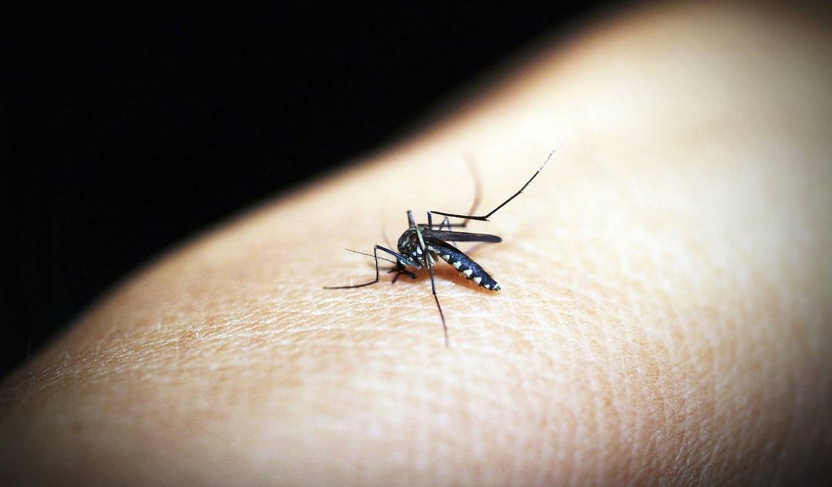 Malaria