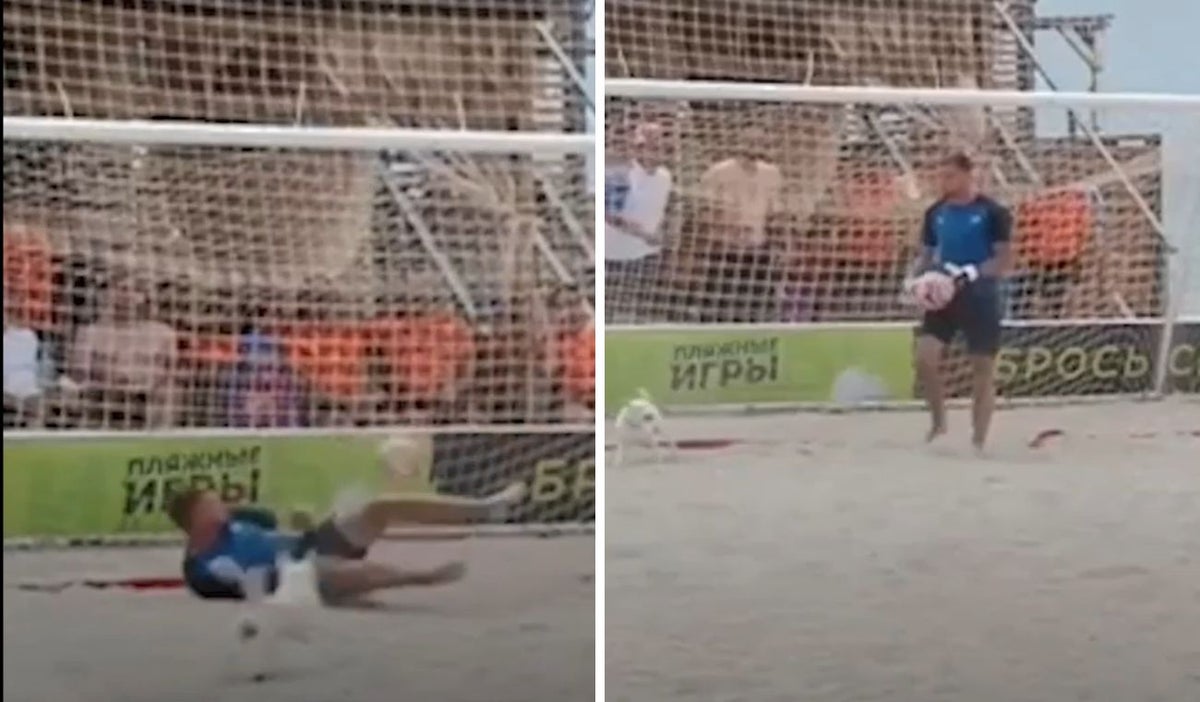 Perro anotó gol en una final en Rusia