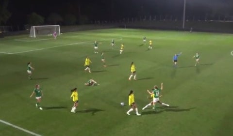 Selección Colombia en amistoso