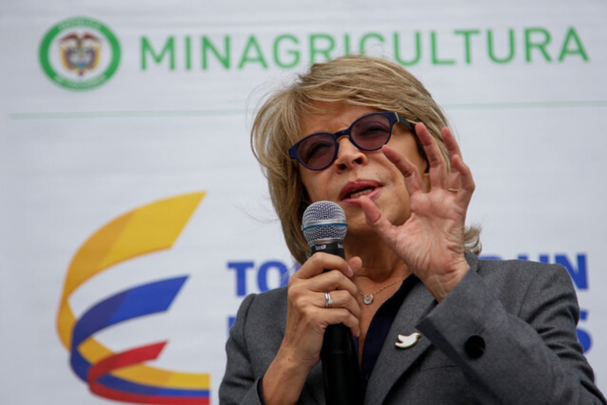 Cecilia Álvarez