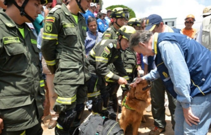 Animales en política de Gestión de Riesgo de Desastres