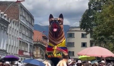 Homenaje a Wilson en Ibagué