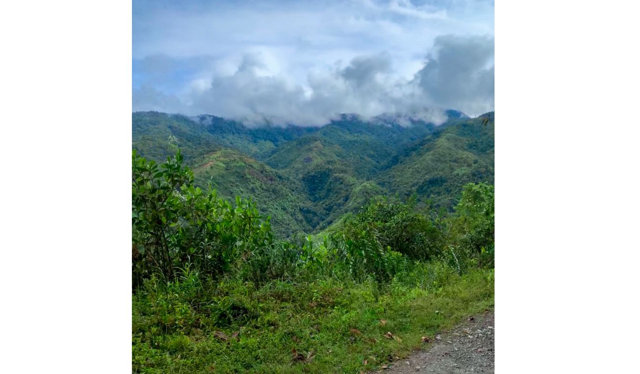 San Agustín, Huila - vía Puerto Quinchana