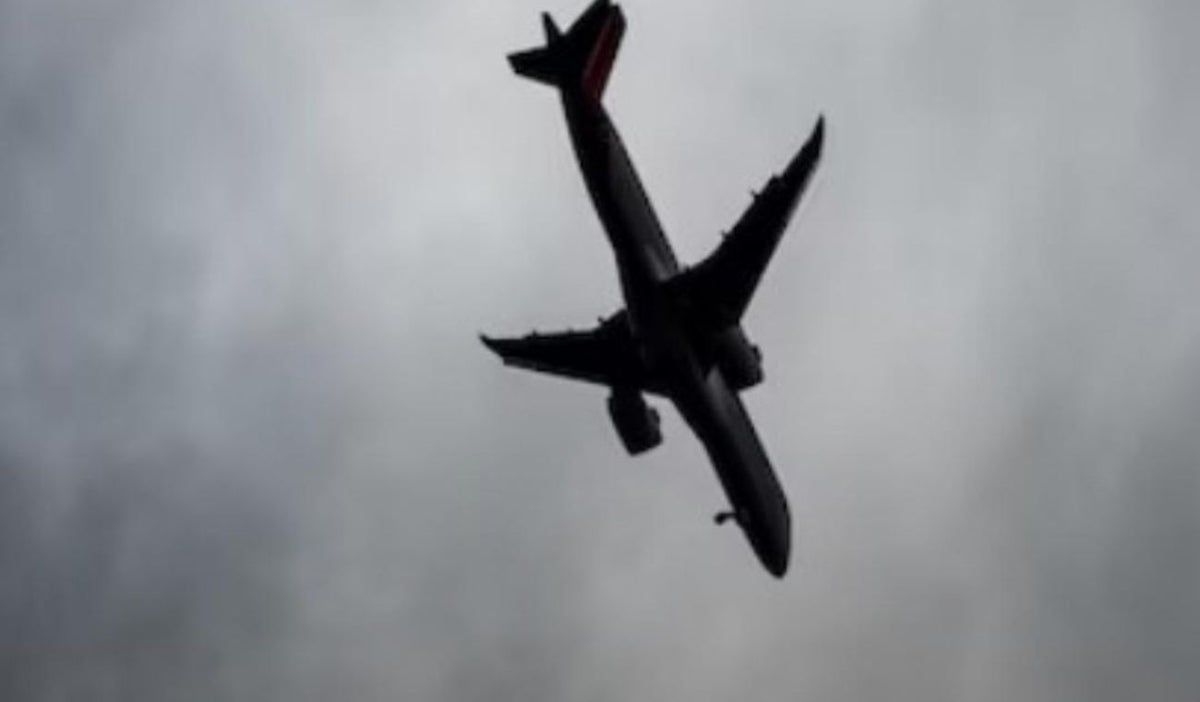 Avión cayó en picada por seis minutos