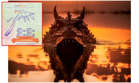 Reptil marino parecido al monstruo del Lago Ness que vivió en Colombia: ver el fósil es gratis