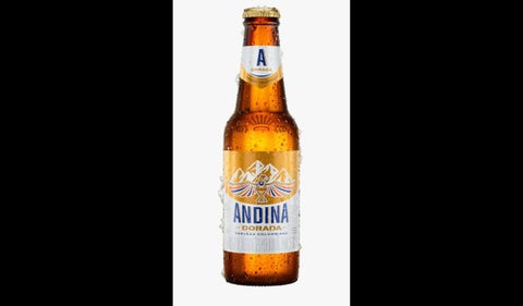 Andinita