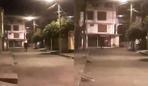 El caballo ‘fantasma’ que atemoriza a los habitantes de Ibagué