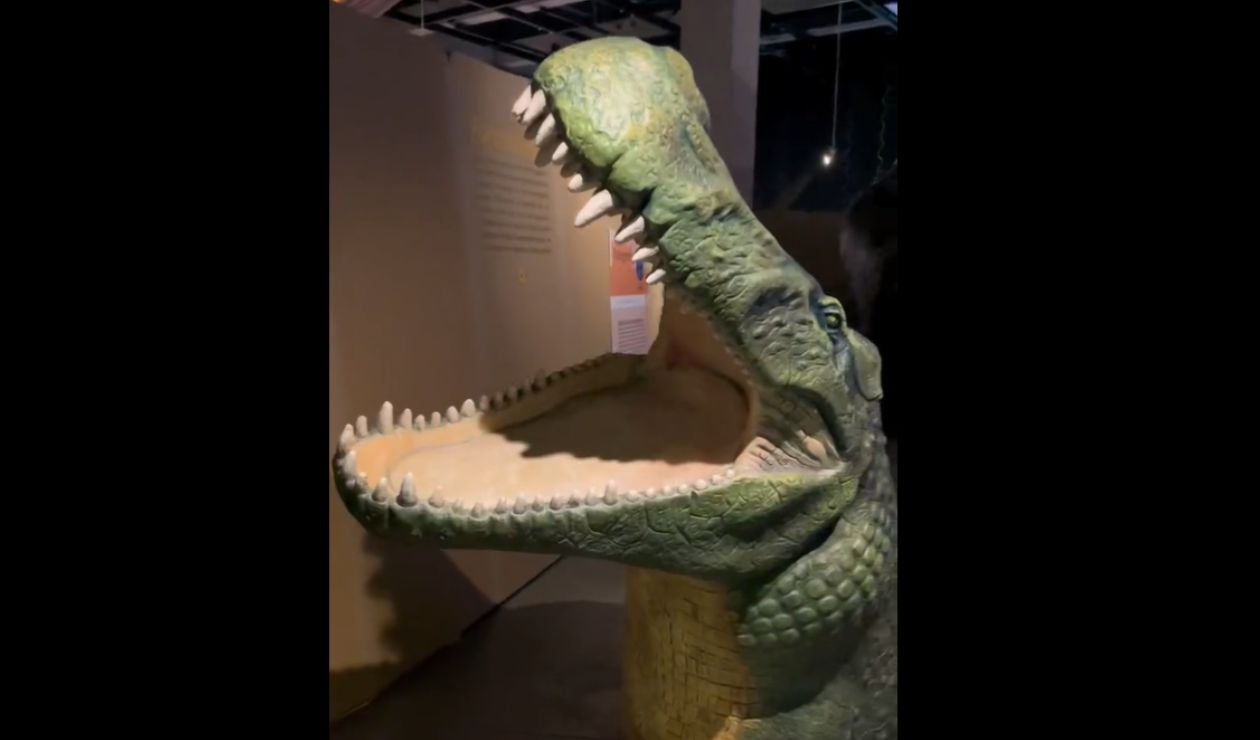 Exposición de dinosaurios en Bogotá