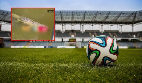 Futbolista murió por ataque de cocodrilo