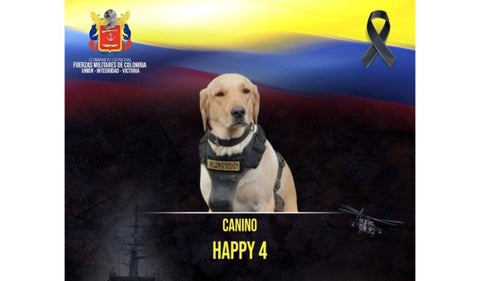 Happy, el perrito que murió tras detectar un explosivo