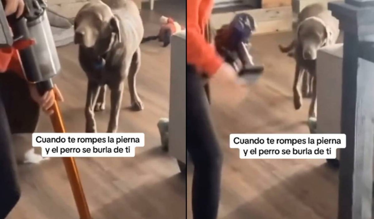 La reacción de un perro al ver a su dueña coja