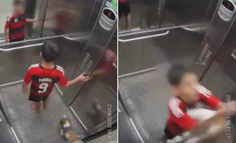 Menor y su perrita