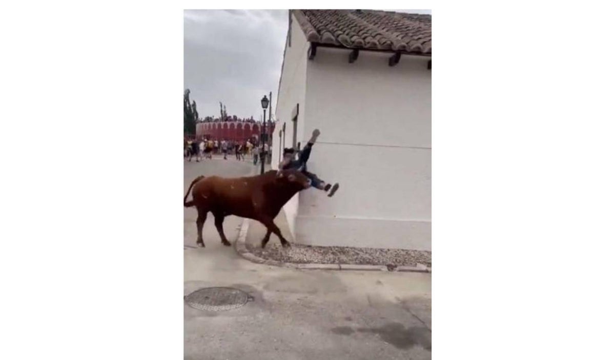 Mujer fue corneada por toro por andar mirando el celular