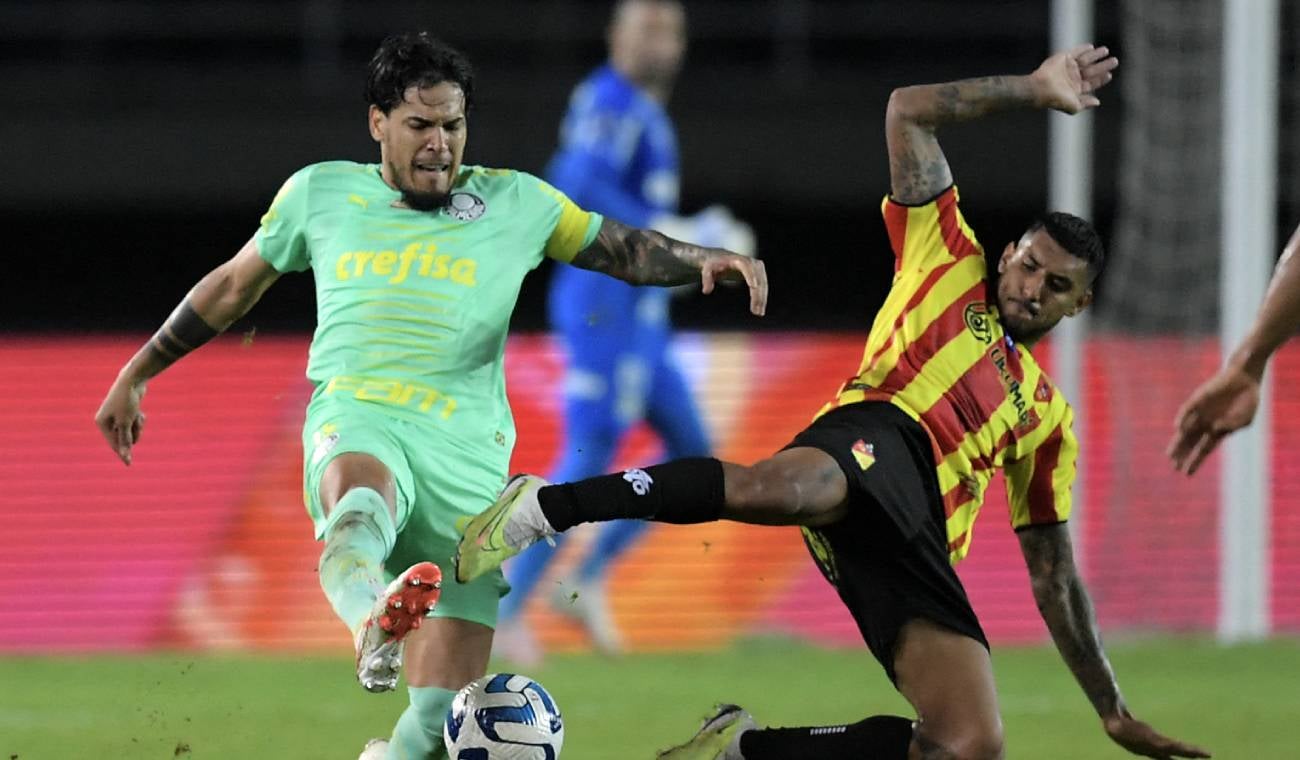 Pereira vs Palmeiras