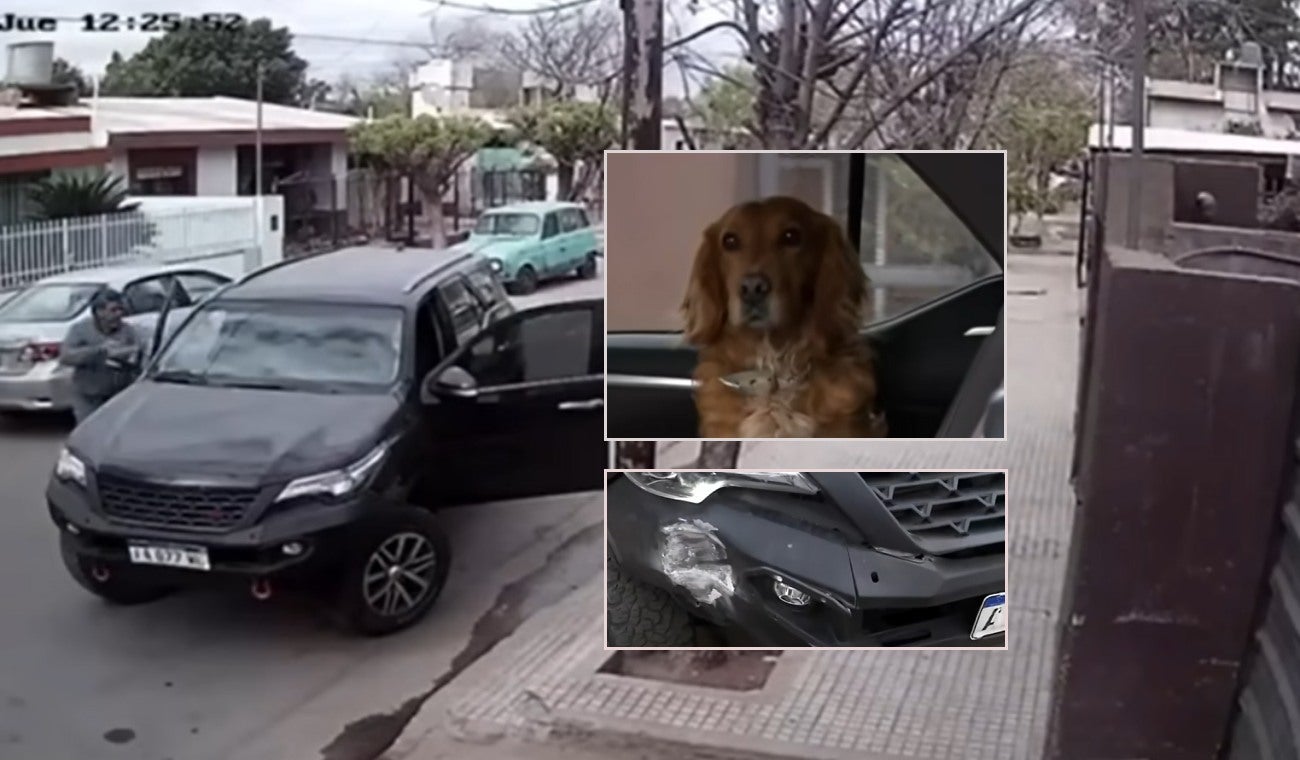 Perrito arrancó y chocó camioneta de su dueño