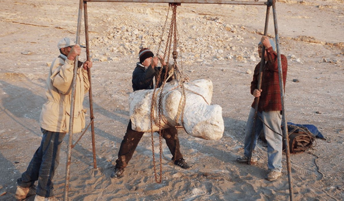 Perucetus, excavación en desierto Ica
