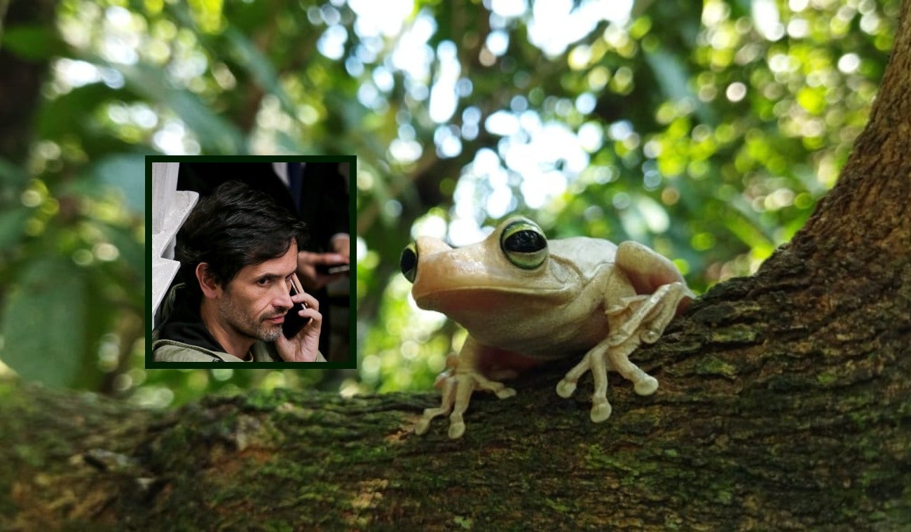 Proyecto de ley que regula la experimentación en animales