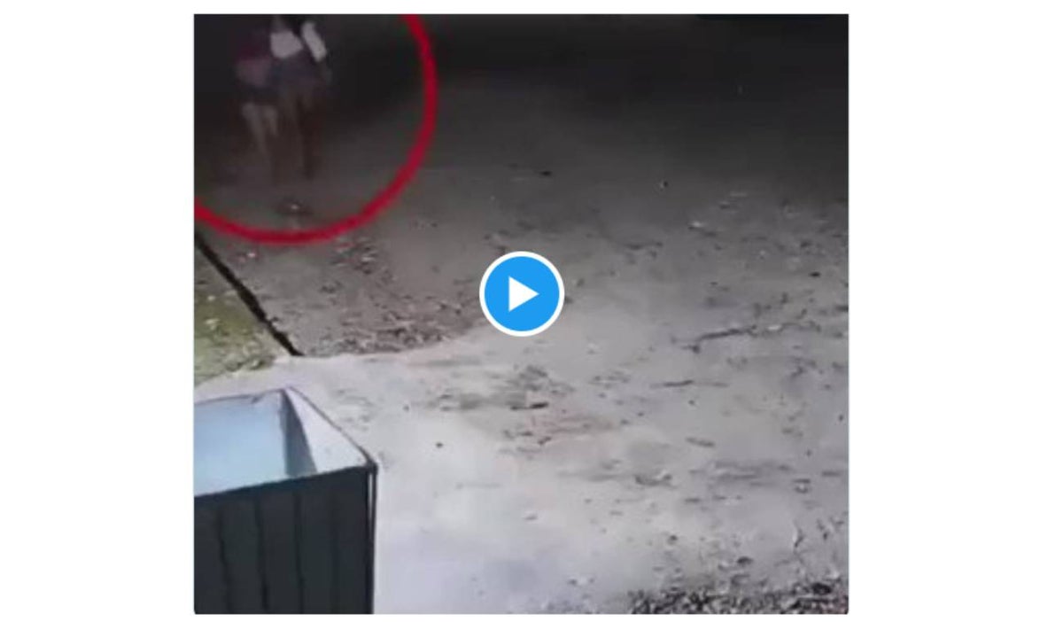 Falsas borrachas robaron hombre que quiso auxiliar VIDEO