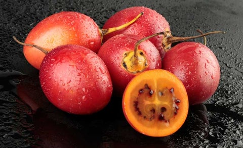 Tomate de árbol