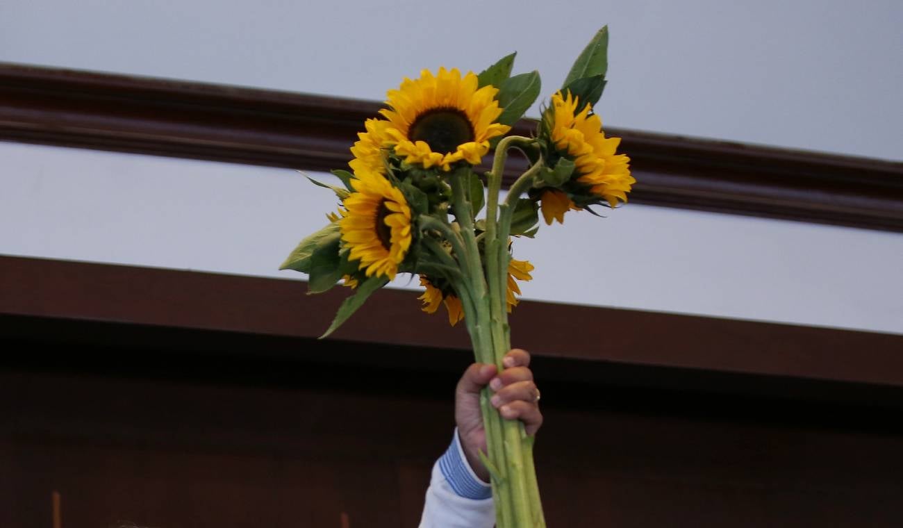 Alianza Verde: pelea de congresistas y concejales en Corte