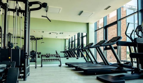 Gimnasio