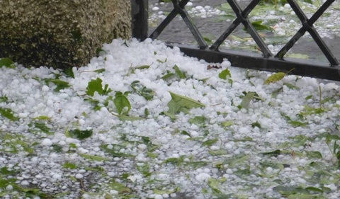 Granizo