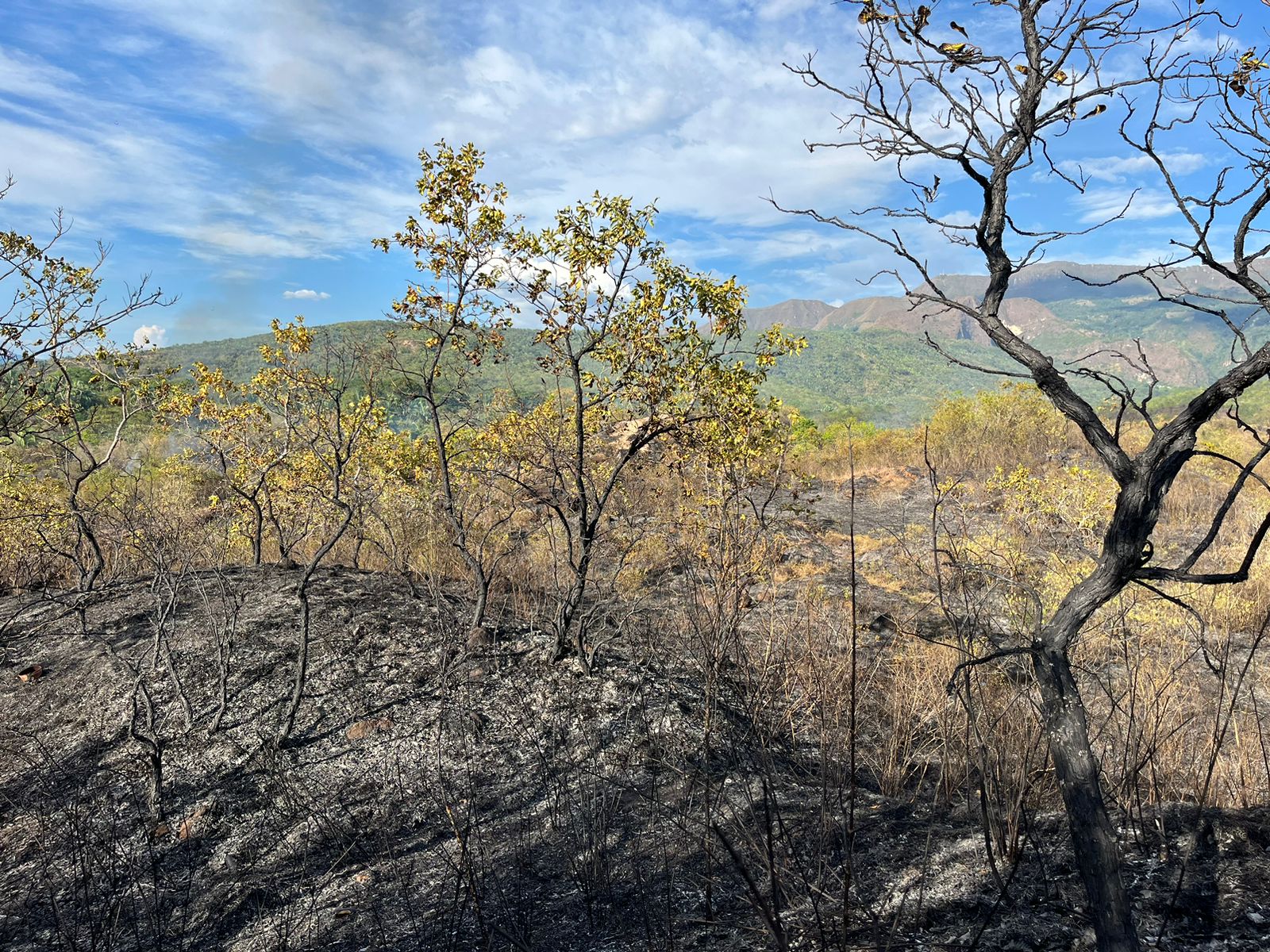 Calamidad pública en Boyacá por la fuerte sequía